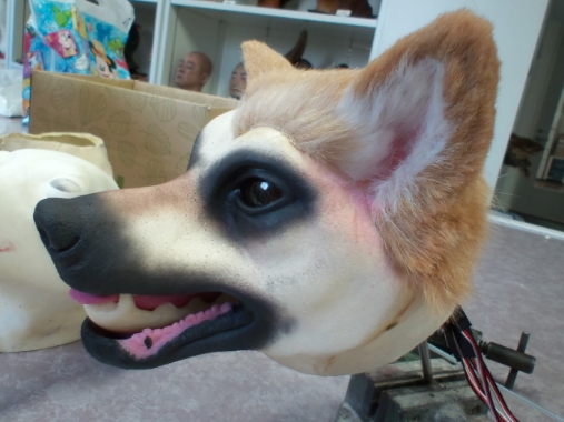 犬の制作工程（頭や耳に毛をつけた状態）